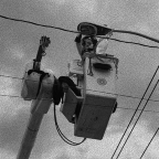 Shayla Gaffney avatar